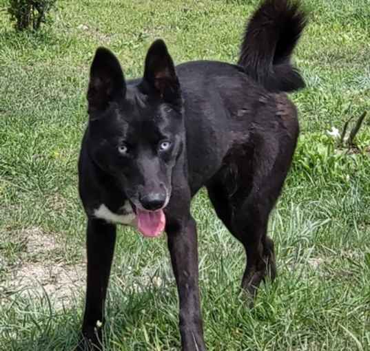 Photo of Flaca
