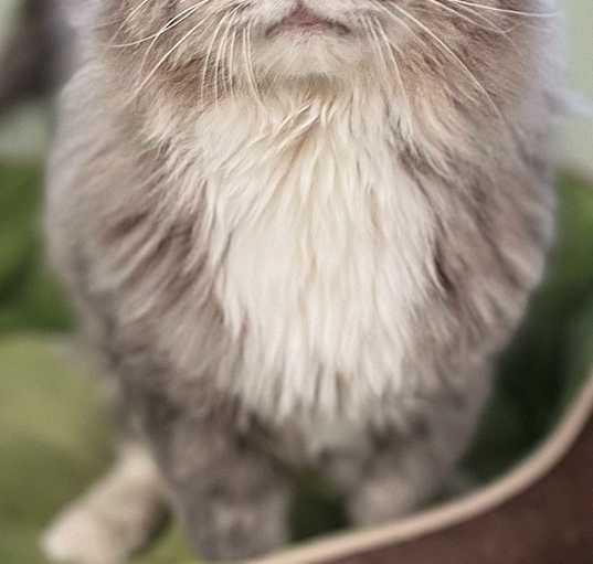 Photo of Marty