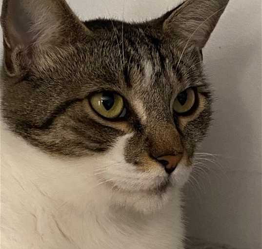 Photo of Fee Bee