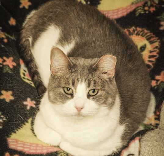 Photo of Hallie