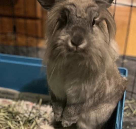 Photo of Selma