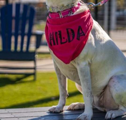 Photo of Hilda