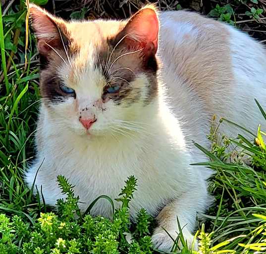 Photo of Mary