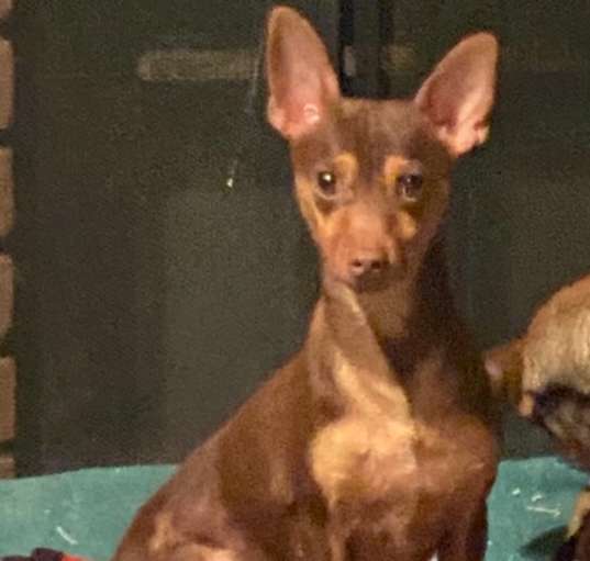 Photo of Luidgy