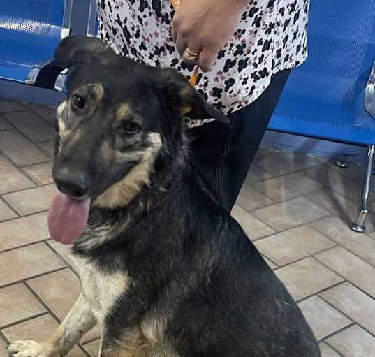 Photo of Betty***Courtesy Post***