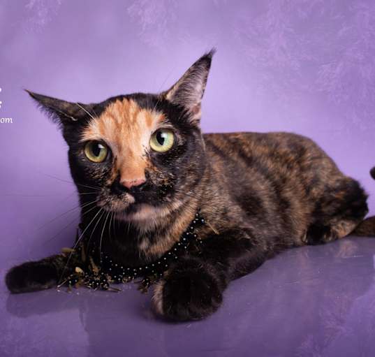 Photo of BEBE
