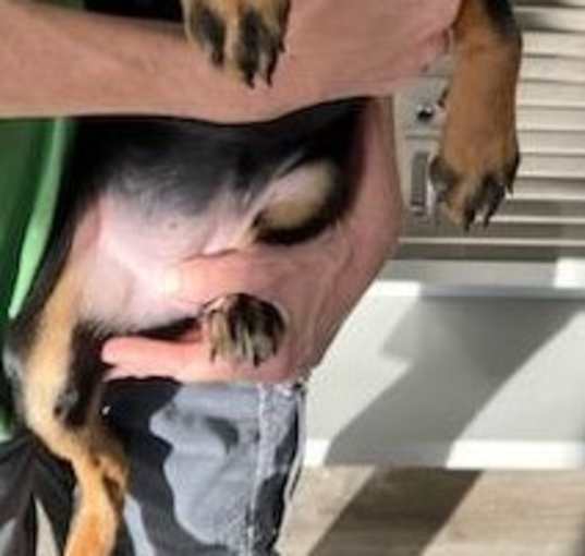 Photo of Lil Lola