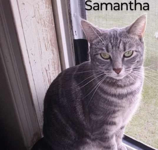 Photo of Samantha