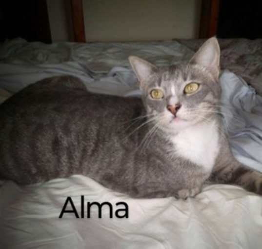 Photo of Alma