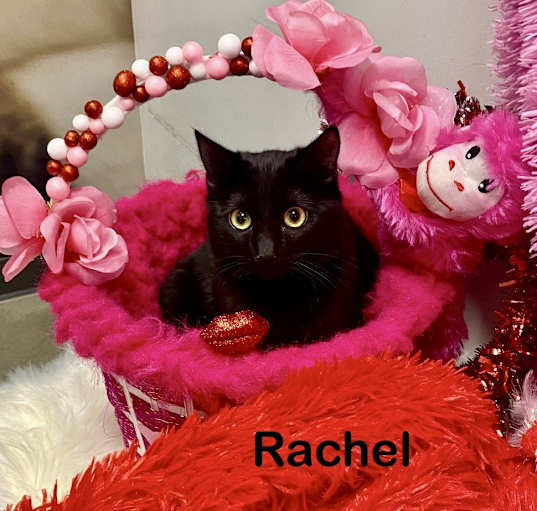 Photo of RACHEL