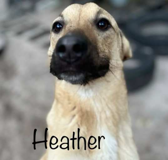 Photo of Heather