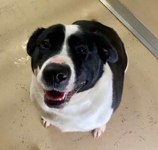 Photo of DeeDee