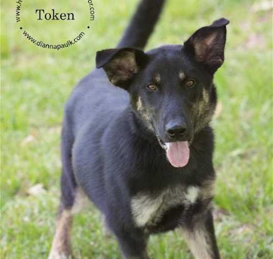 Photo of Token