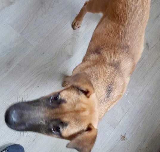 Photo of Peeka