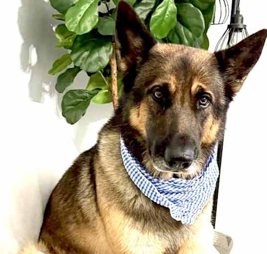 Photo of Thor