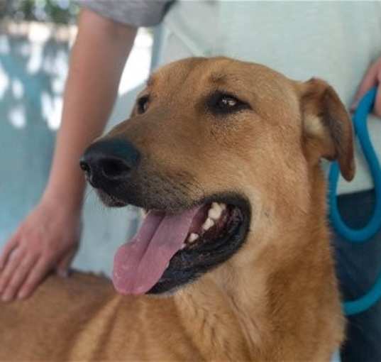 Photo of Sandy -