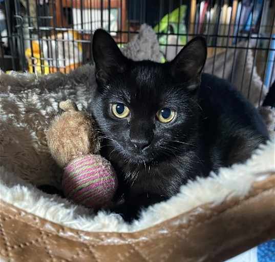 Photo of Eve