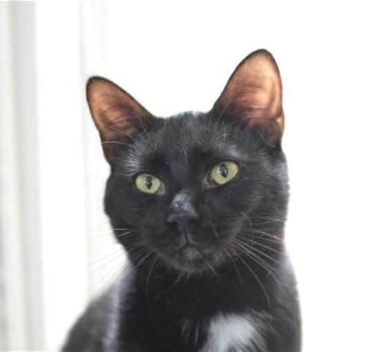 Photo of Boots