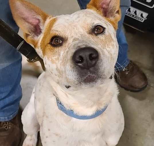 Photo of Tex