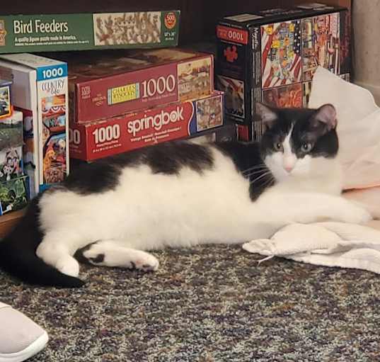 Photo of Clove