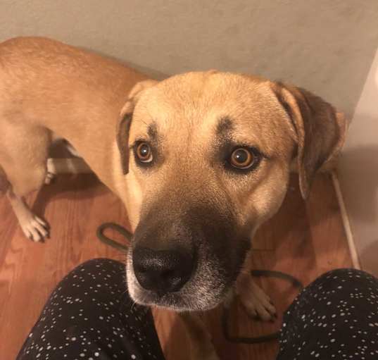 Photo of Tucker
