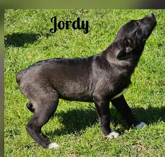 Photo of Jordy