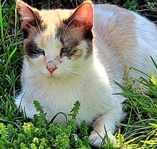 Photo of Mary