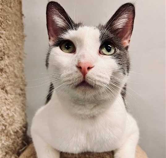 Photo of Ravioli