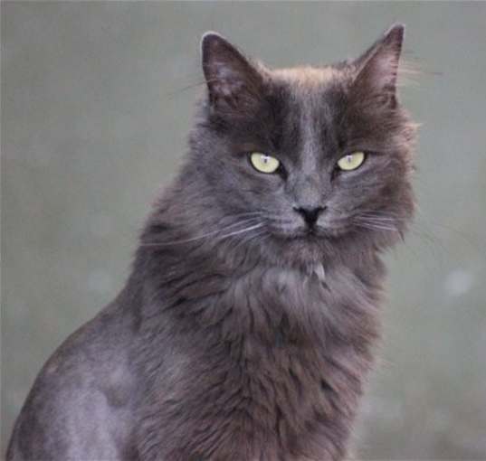 Photo of Hubbard