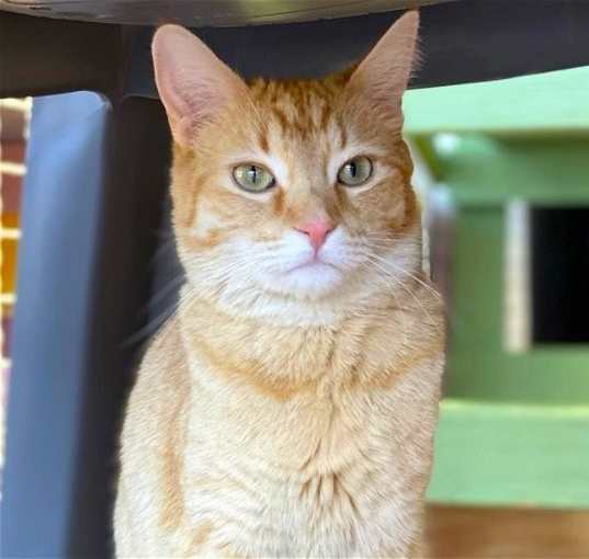 Photo of Diem