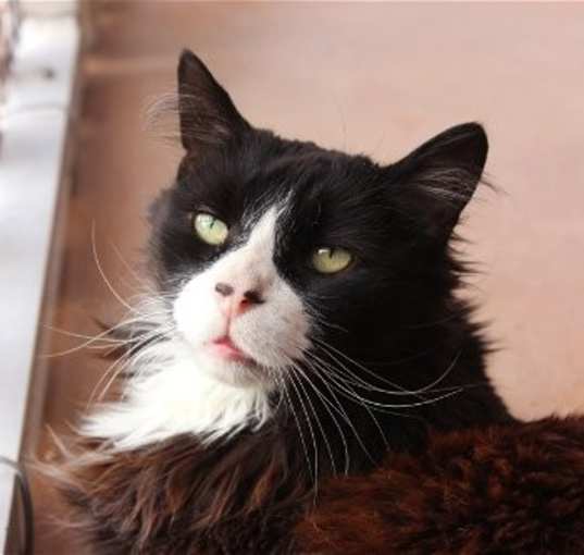 Photo of Duncan