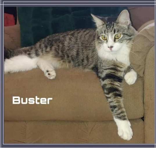 Photo of Buster