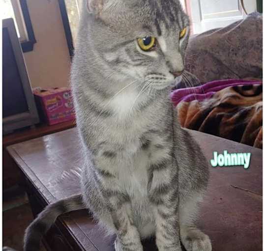 Photo of Johnny