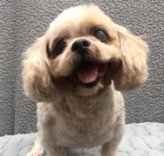 Photo of Mickey