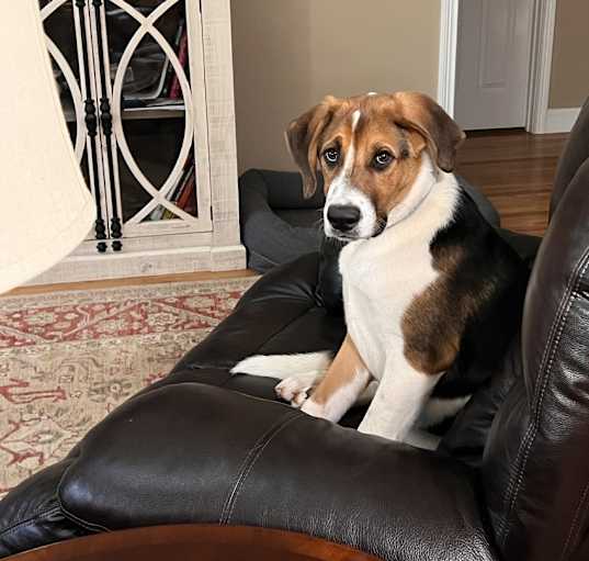 Photo of Remington