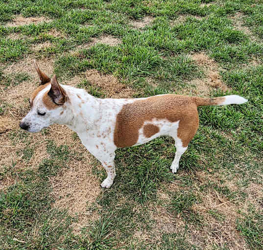 Photo of Athena