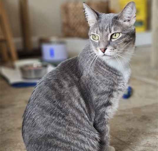 Photo of Buster