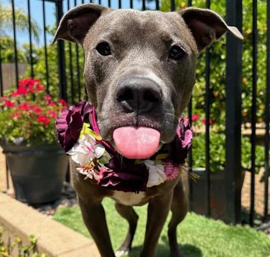 Photo of Jada