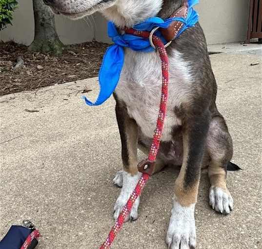 Photo of Finnegan