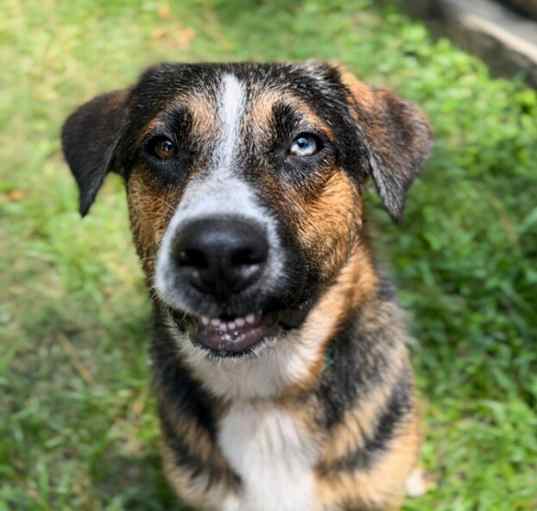 Photo of Reggie