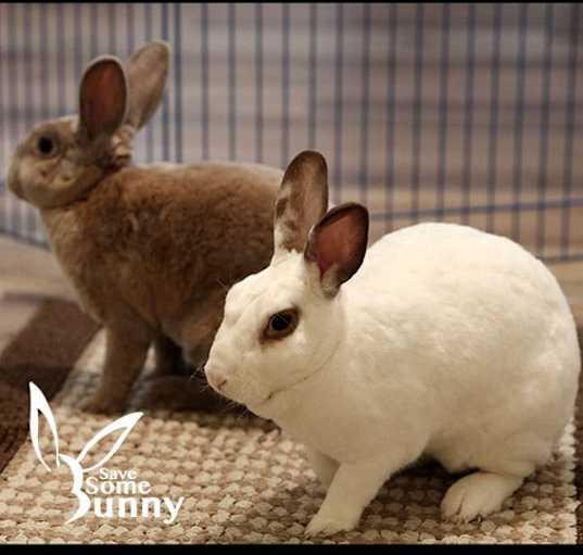 Photo of Espi (and Penn)