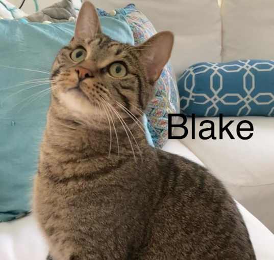 Photo of Blake