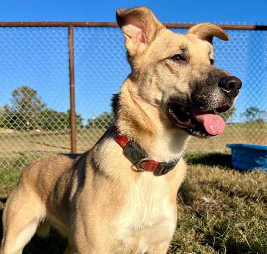Photo of Nellie