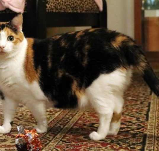Photo of Tracy