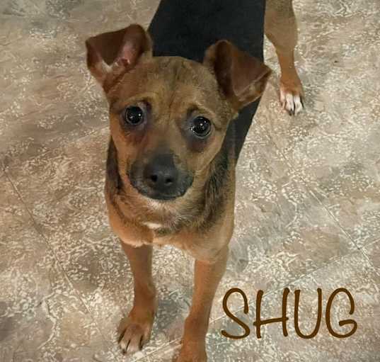 Photo of Shug