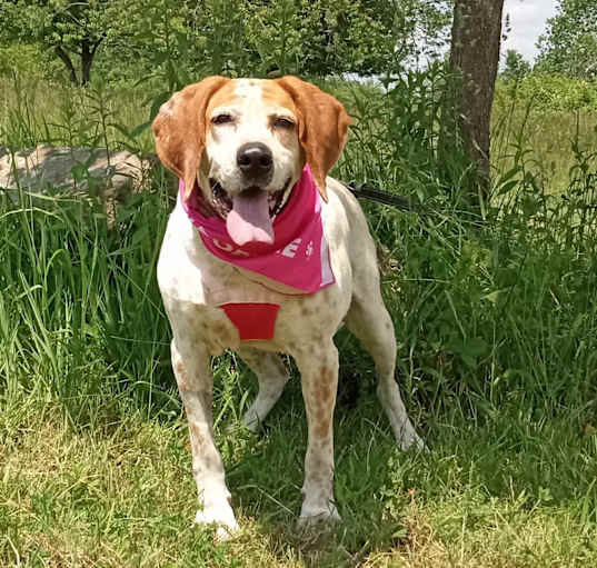Photo of Sweet Tayda