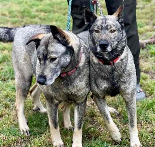 Photo of Freida and Dallen