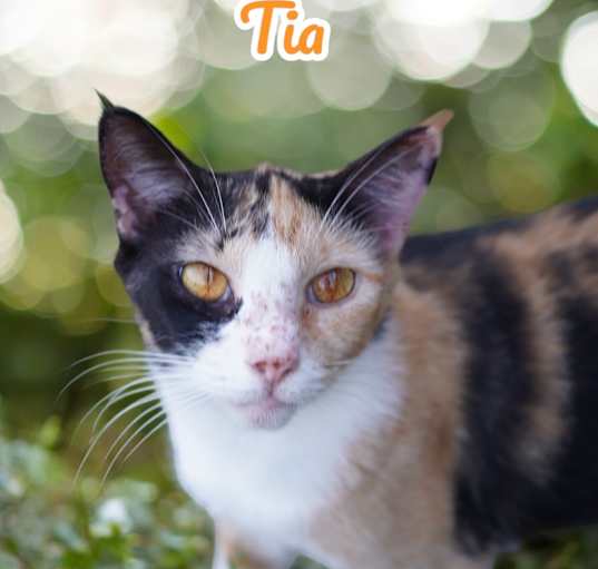 Photo of Tia