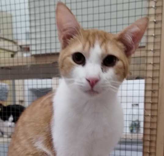 Photo of Sugar