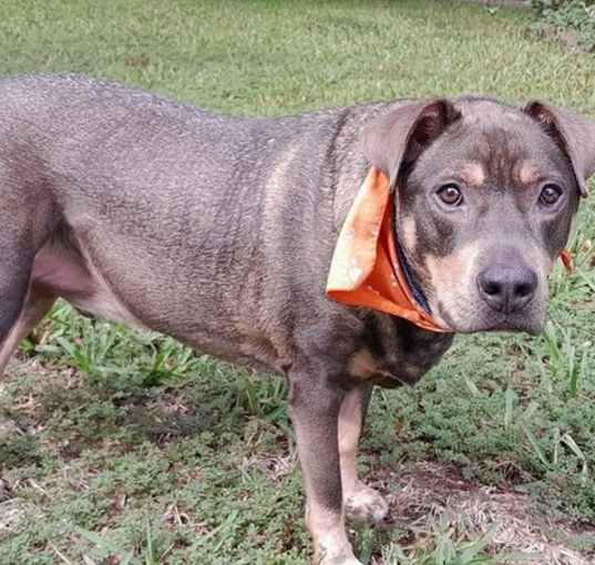 Photo of Zesty Zeke